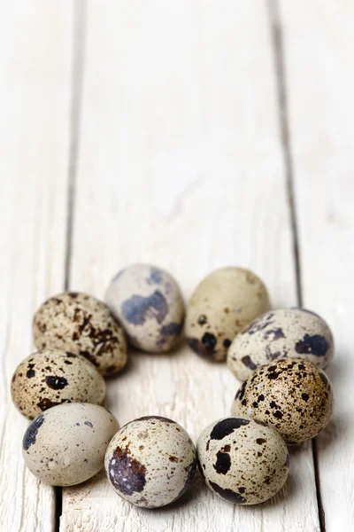 Quail eggs — Stock Photo, Image