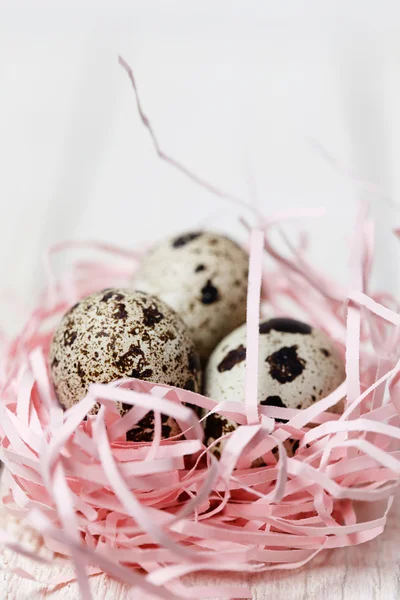 Quail eggs — Stock Photo, Image