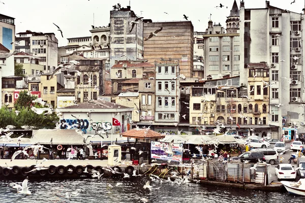 Kuşlar Istanbul'da — Stok fotoğraf