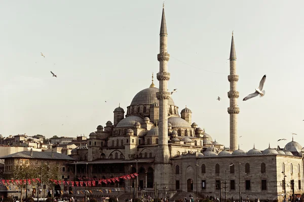 Neue Moschee — Stockfoto