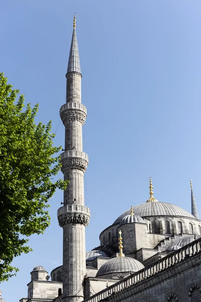 Mosquée bleue d'Istanbul — Photo