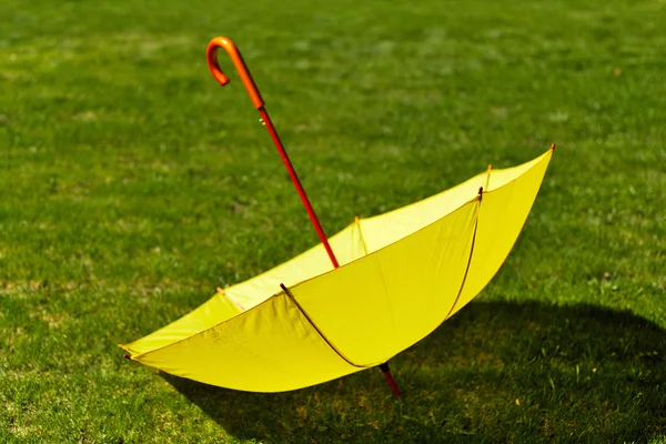 Yellow umbrella on the grass Royalty Free Stock Images