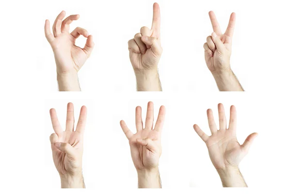 Numbers by human hand gesture Stock Kép