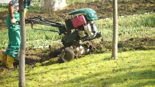 Agricultor labrando un jardín — Vídeo de stock