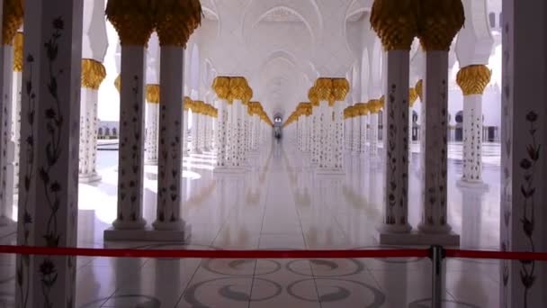 Schejk zayed-moskén — Stockvideo