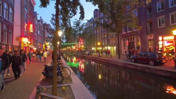 Red light district in Amsterdam — Stock Video