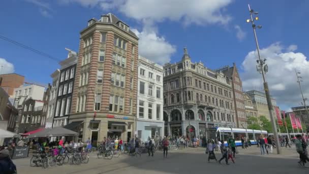 Tráfico urbano en la calle Amsterdam — Vídeos de Stock
