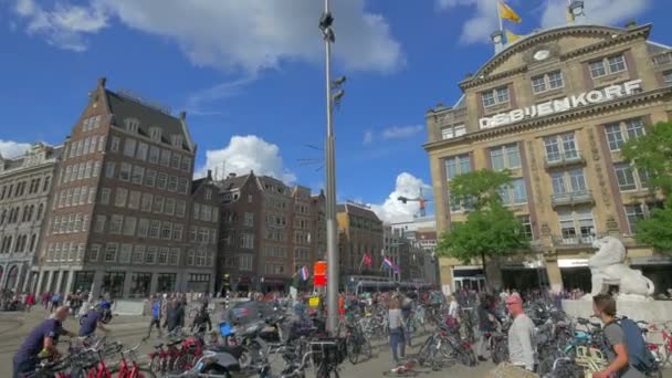 Ruch uliczny na ulicy Amsterdamu — Wideo stockowe