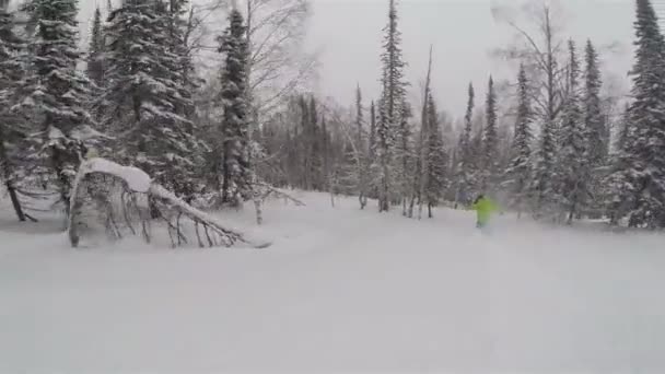 Snowboarder meisje rijdt in bos — Stockvideo