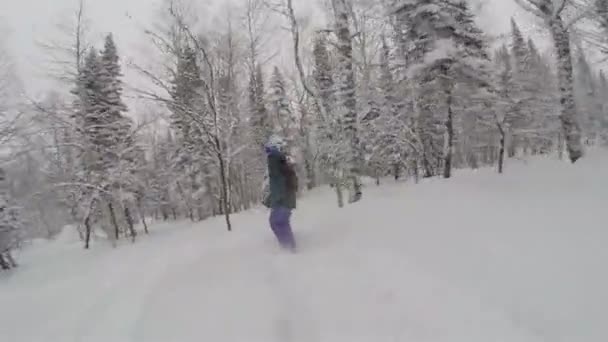 在滑雪板上的人 Freeriding — 图库视频影像
