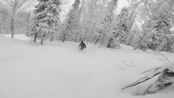 Freeriding em snowboard no dia do pó — Vídeo de Stock