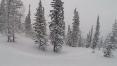 Snowboard yaparken toz gün üzerinde serbest sürüşte