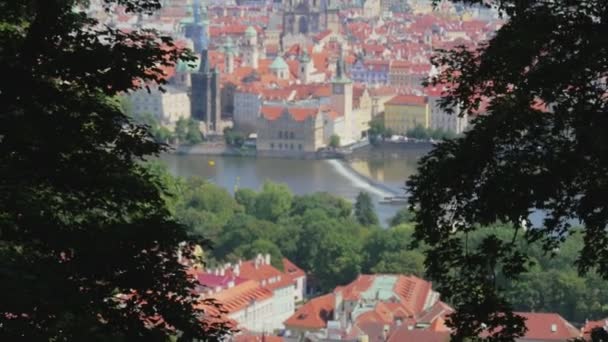 View on Prague from a hill — Stock Video