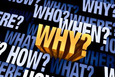 The Important Question Is 'Why?'