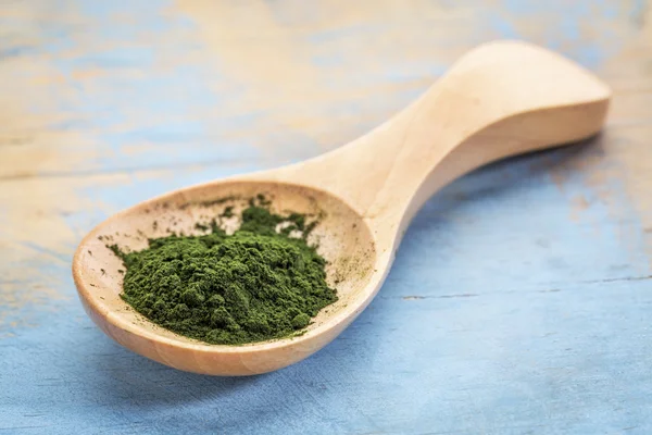 Chlorella powder on wooden spoon — Stock Photo, Image