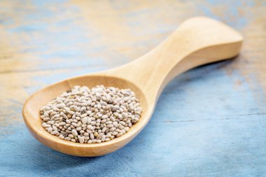 Chia tohum tahta kaşık üzerinde