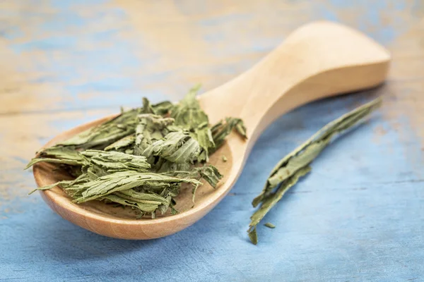 Droge stevia leaf op een houten sppon — Stockfoto