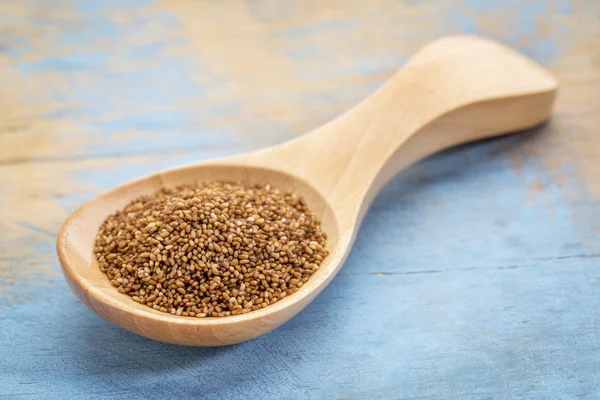 Teff grain in wooden spoon — Stock Photo, Image