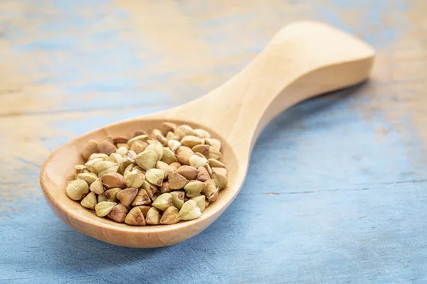 Buckwheat grain on wooden spoon — Stock Photo, Image