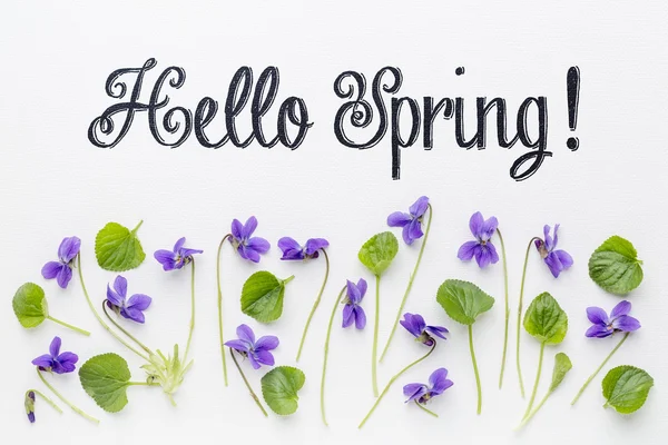 Hallo Frühlingsgrüße — Stockfoto