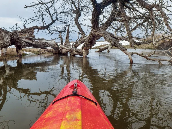 Kayak e pioppo caduto — Foto Stock