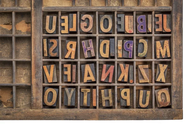 Wood type printing blocks — Stock Photo, Image