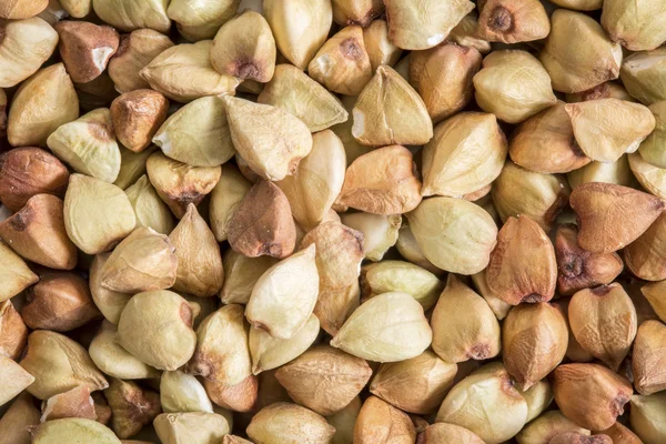 Buckwheat grain at life-size — Stock Photo, Image