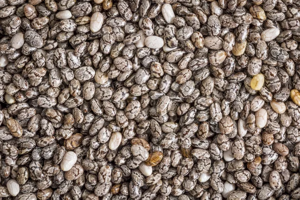 Chia seeds life-size macro — Stock Photo, Image