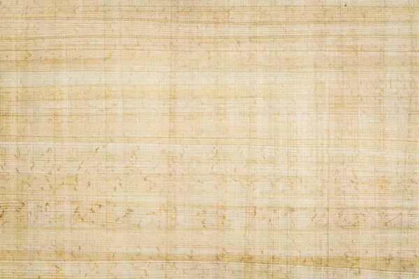 Mısır papirüs kağıdı — Stok fotoğraf