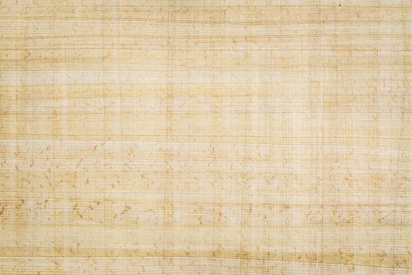 Egyptian papyrus paper