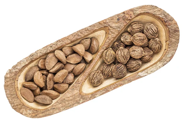 Brazilian nuts and black walnuts — Stock Photo, Image