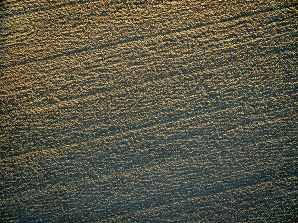 Plowed field aerial view — Stock Photo, Image