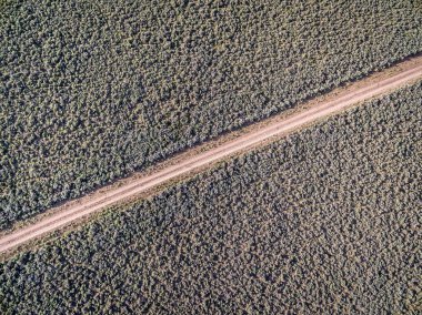 road and sagebrush aerial view clipart