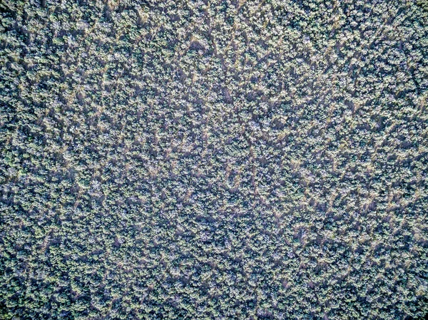 Bereich der Sagebrush-Luftaufnahme — Stockfoto