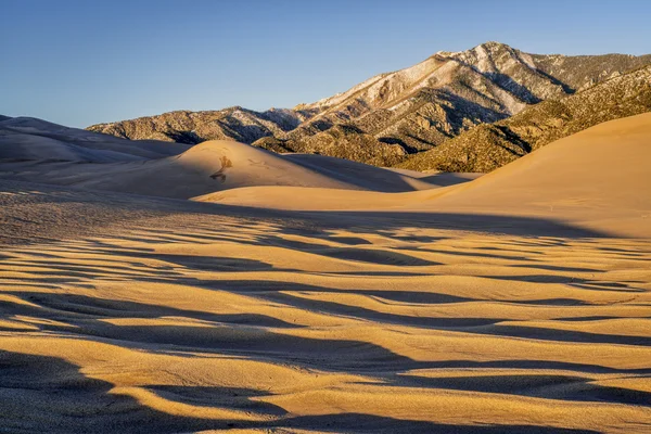 Parc national des grandes dunes de sable — Photo