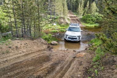 Toyota 4runner Suv bir iz üzerinde