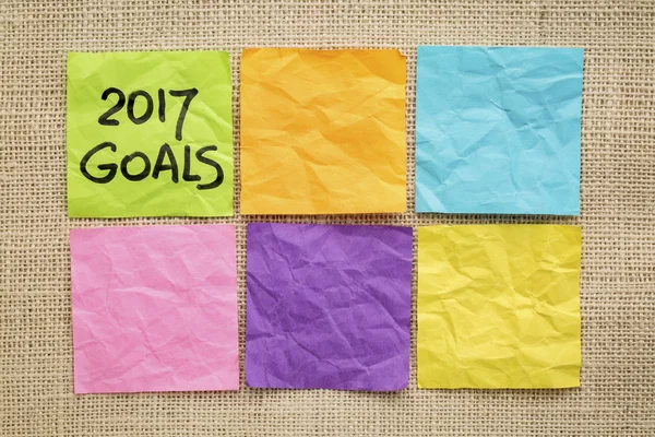 2017 New Year goals — Stock Photo, Image