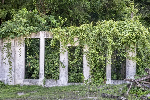 Byggnaden ruiner och vegetation — Stockfoto