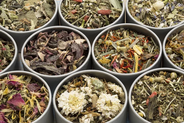 Colección de muestras de té de hierbas — Foto de Stock