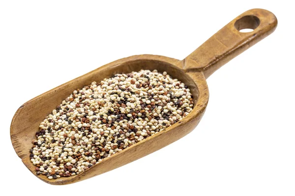 Rustic scoop of quinoa grain — Stock Photo, Image