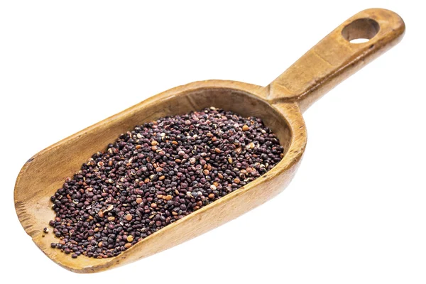 Scoop rustico di grano di quinoa nero — Foto Stock