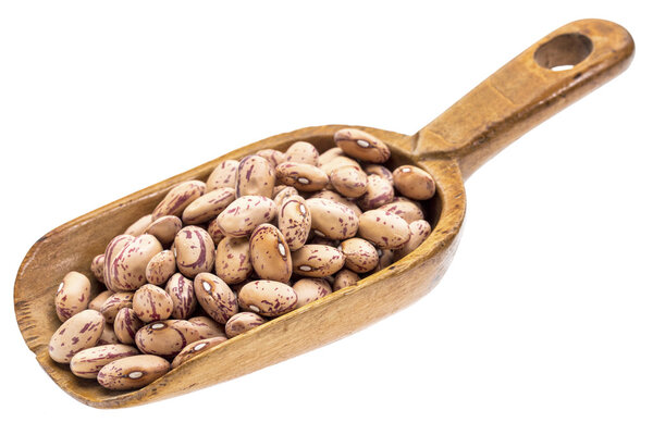 rustic scoop of cranberry beans