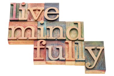 mindfully ağaç türü içinde yaşamak