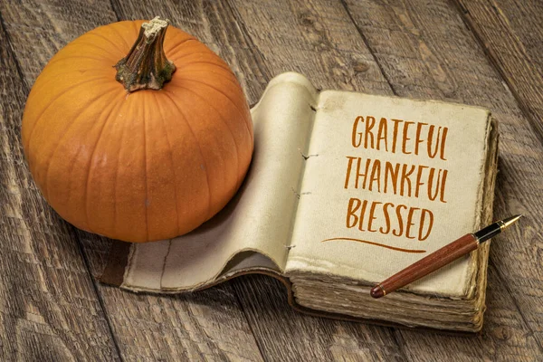 Grateful Thankful Blessed Handwriting Retro Leatherbound Journal Pumpkin Rustic Wood — Stock Photo, Image