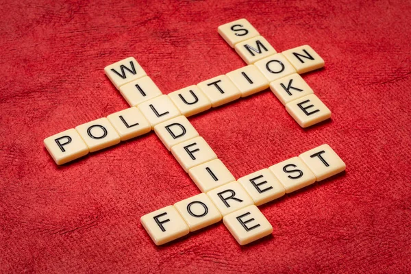 Forest Wildfire Pollution Smoke Crossword Ivory Lettertiles Textured Handmade Bark — Stock Photo, Image