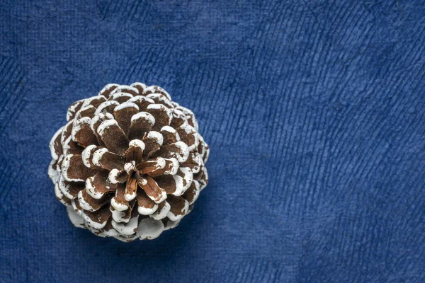 コピースペース 冬の休日の背景を持つ青手作りの紙に対して霜装飾松コーン — ストック写真