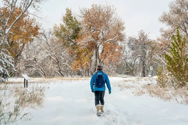 Senior Hane Vandring Cykelväg Fort Collins Colorado Höst Landskap Med — Stockfoto