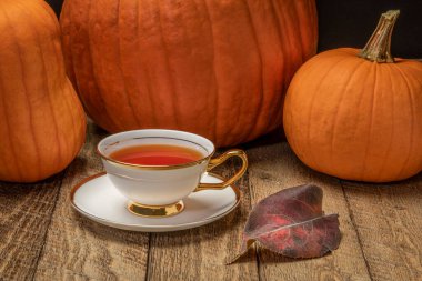 Bir bardak sıcak çay ve balkabağı kırsal bir ağaçta, Şükran Günü ve sonbahar tatili konsepti