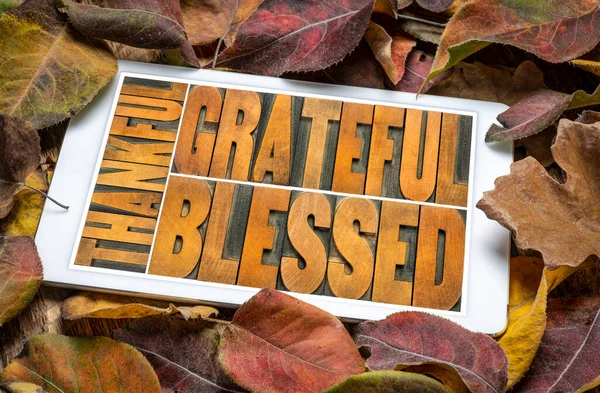 Thankful Grateful Blessed Abstract Vintage Letterpress Wood Type Digital Tablet — Stock Photo, Image