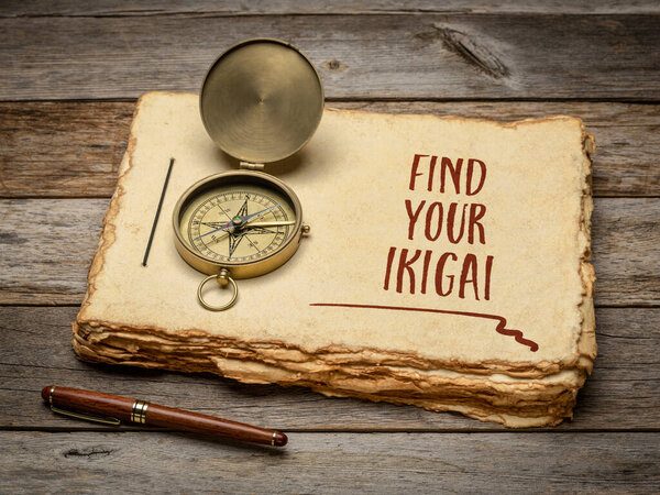 find your ikigai - inspirational handwriting in a retro sketchbook with a stylish pen and vintage brass compass against rustic wood, Japanese concept of a life purpose